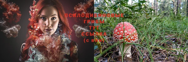 амф Алексеевка