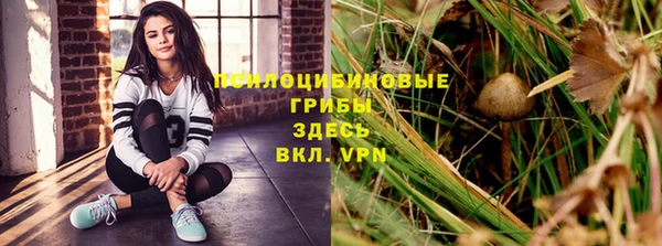 Альфа ПВП Алексин